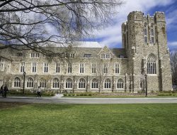 University of Florida Software Engineering Programs