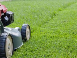 Mowing Business Software For Effective Management