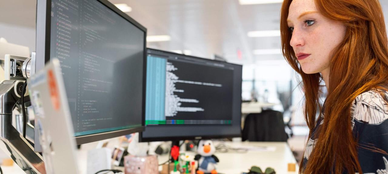 Senior Software Engineer - Raespo