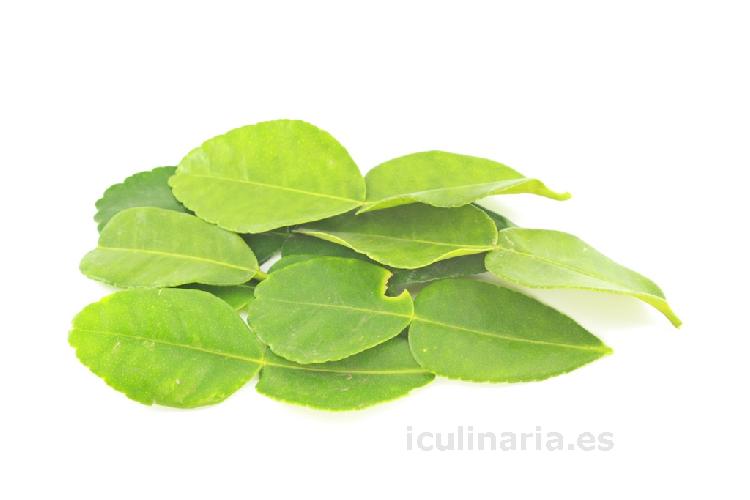 Hojas | Innova Culinaria